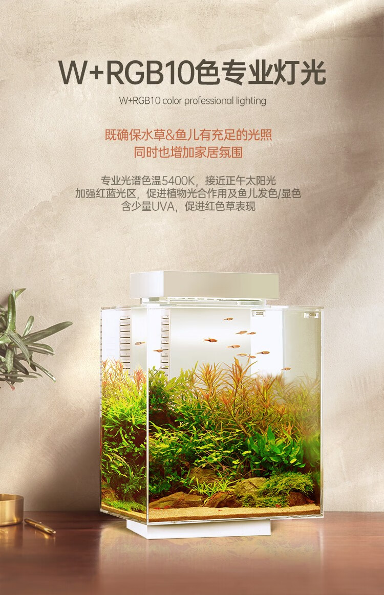 花小鱼智能鱼缸水族箱客厅桌面创意免换水生态小型yg10玻璃鱼缸内置