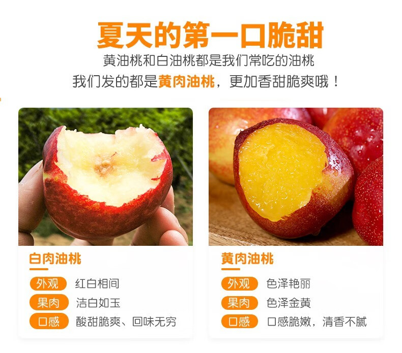 果新果粒 现摘黄肉油桃无毛桃子产地直发 净重4.8斤装