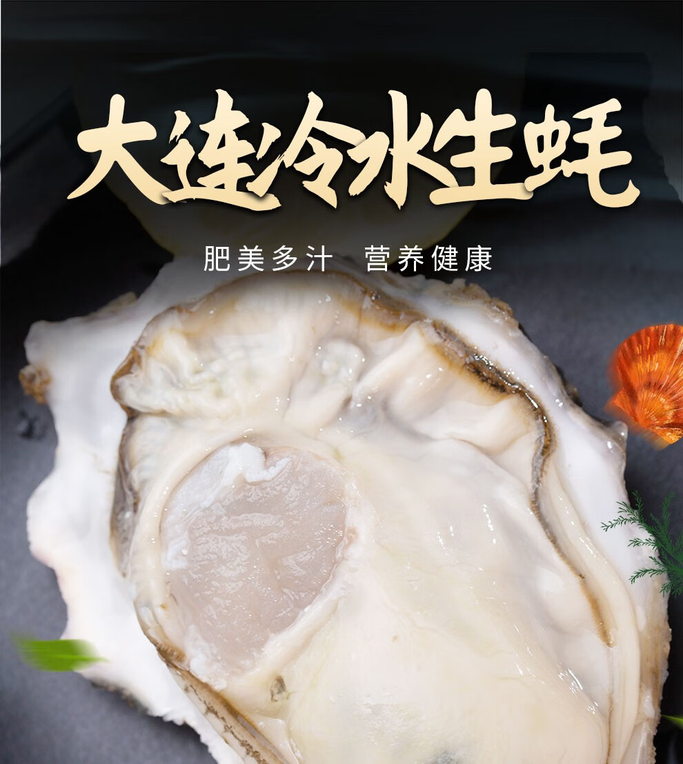 活鲜宝珍贡鲜活大连生蚝新鲜冷水蚝牡蛎xl号净重4斤