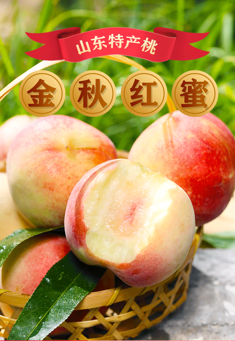 正宗山东金秋红蜜桃 新鲜水蜜桃脆桃新鲜水果山东烟台特产桃子整箱应