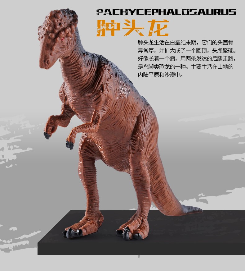 仿真恐龙玩具霸王龙动物模型儿童男孩套装玩具恐龙蛋暴龙36岁恐龙104