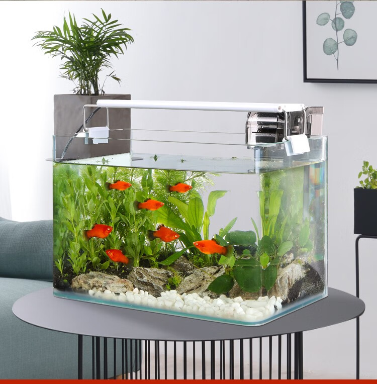 白玻璃鱼缸裸缸水族箱 小型生态草缸桌面造景金鱼缸 黑色【图片 价格