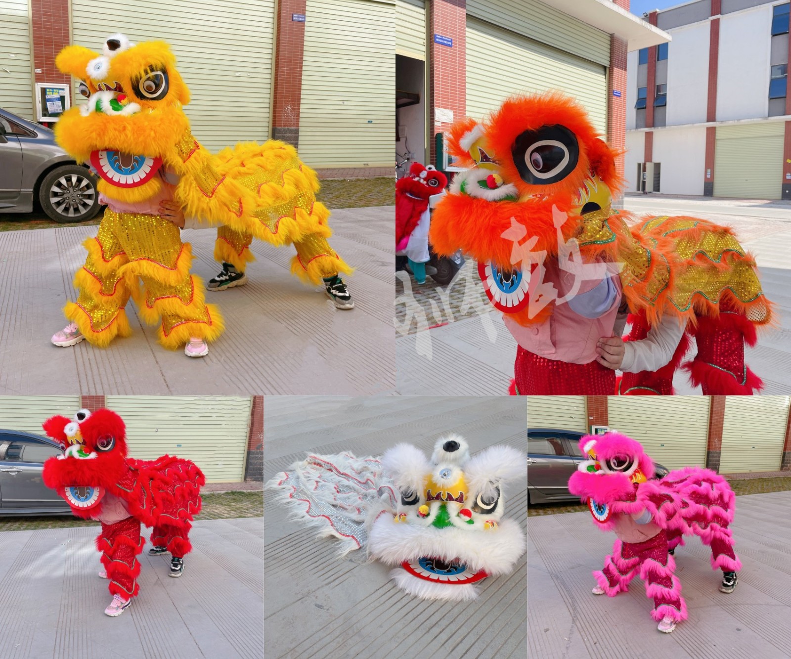 舞狮儿童舞狮子服装 小狮子头舞狮头套装塑料小孩青少年舞狮子醒狮