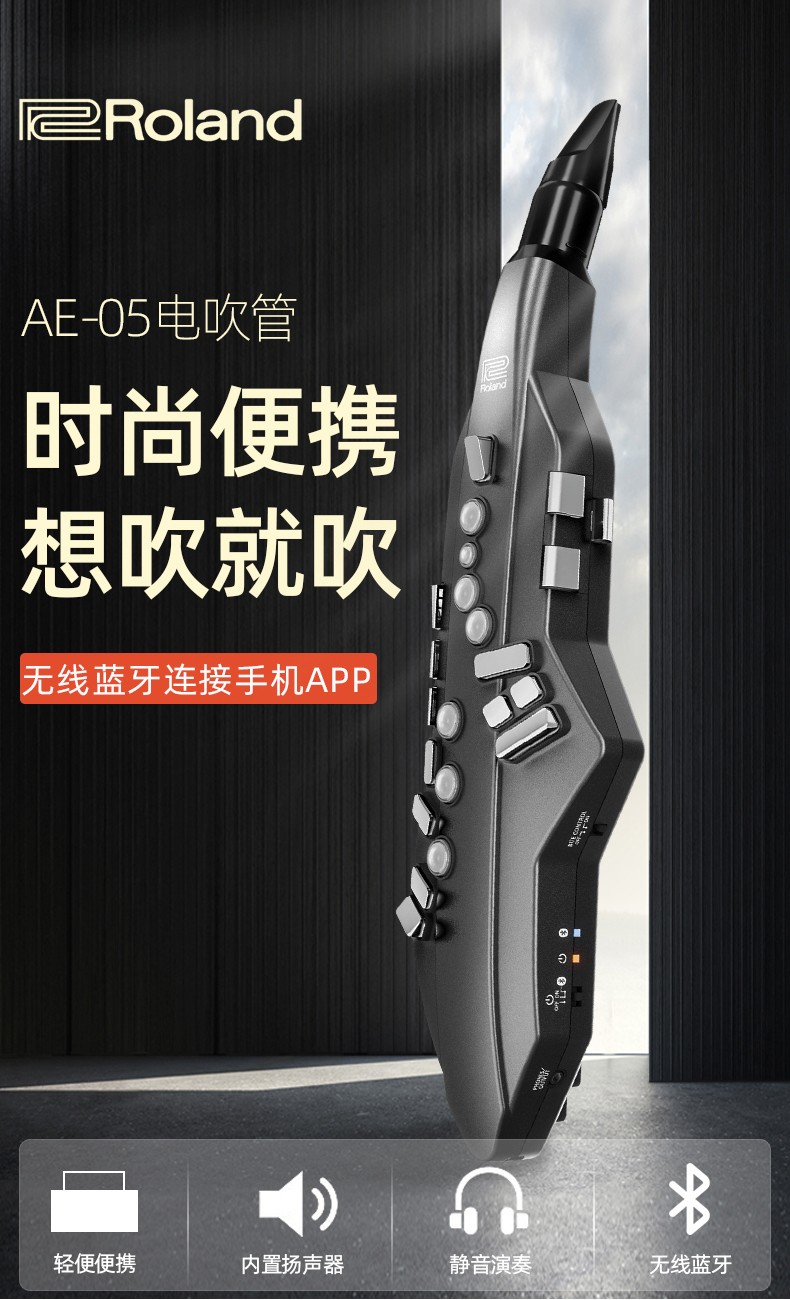 罗兰rolandae10电吹管初学者电萨克斯自带音源扬声器电子管吹奏乐器ae