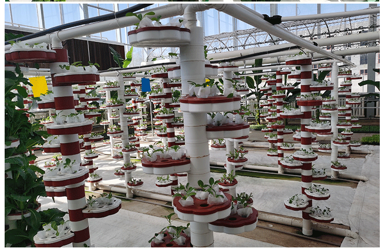 鲸榜空中草莓家庭小型花卉栽培系统多层立体种植槽a字架无土水产基质
