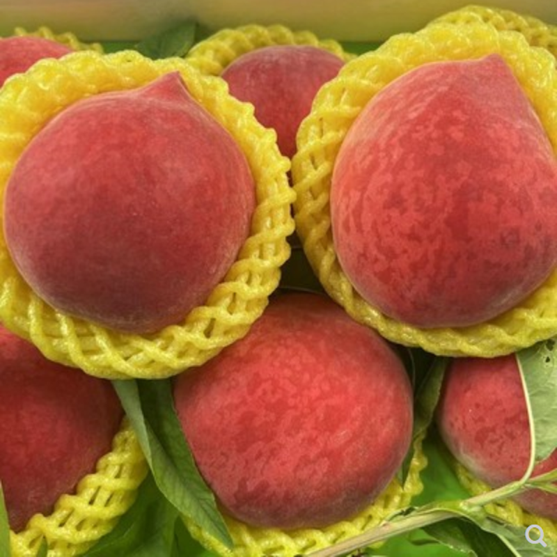 北京水蜜桃特大果甜蜜多汁桃子寿桃当季新鲜孕妇水果6斤特大果