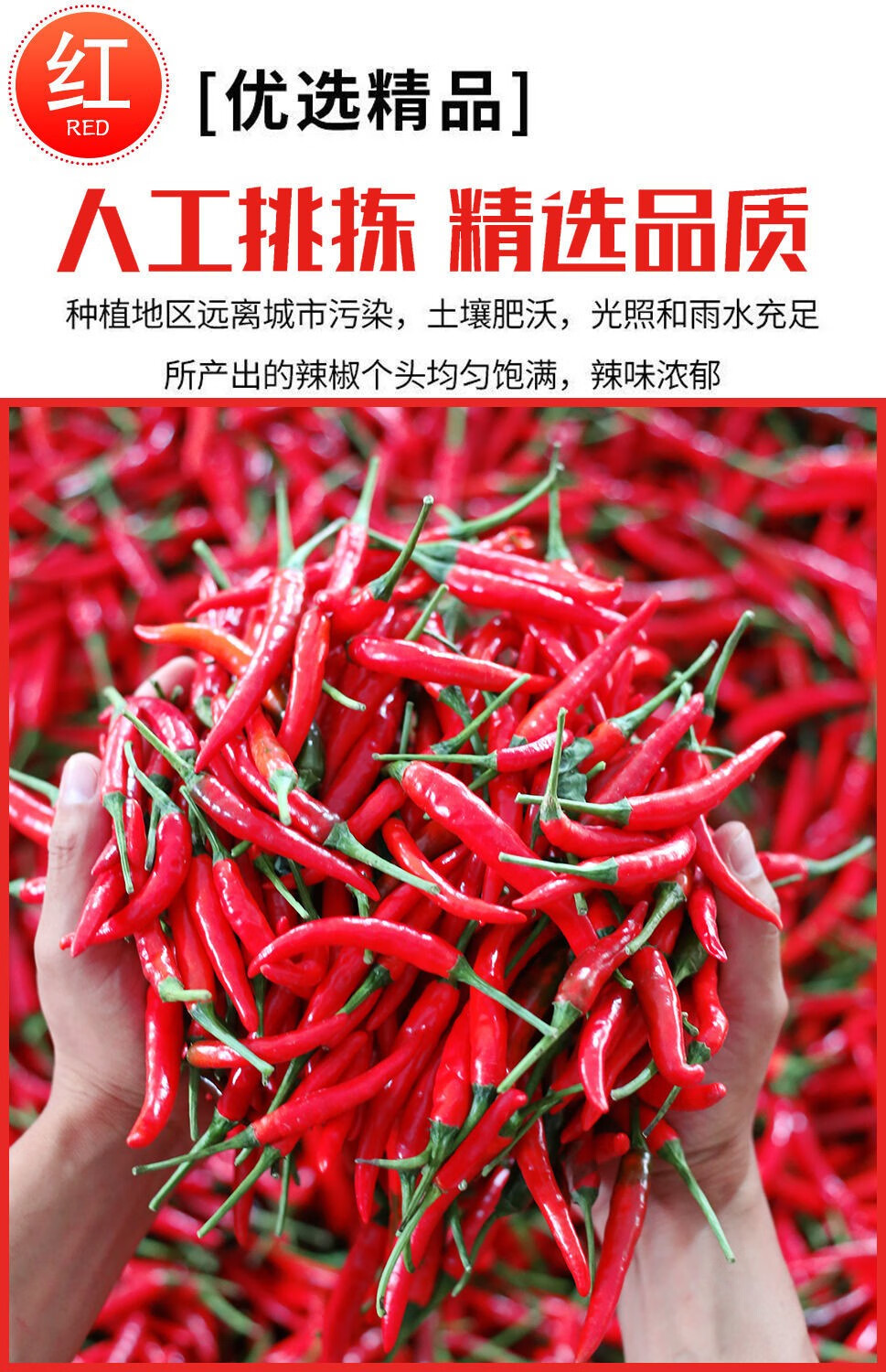 媚调 特辣小米椒5斤新鲜小米辣红辣椒指天椒朝天椒泡椒剁椒应季蔬菜现