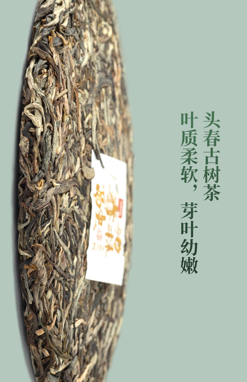 雨林古树茶普洱生茶饼2021年春融357g