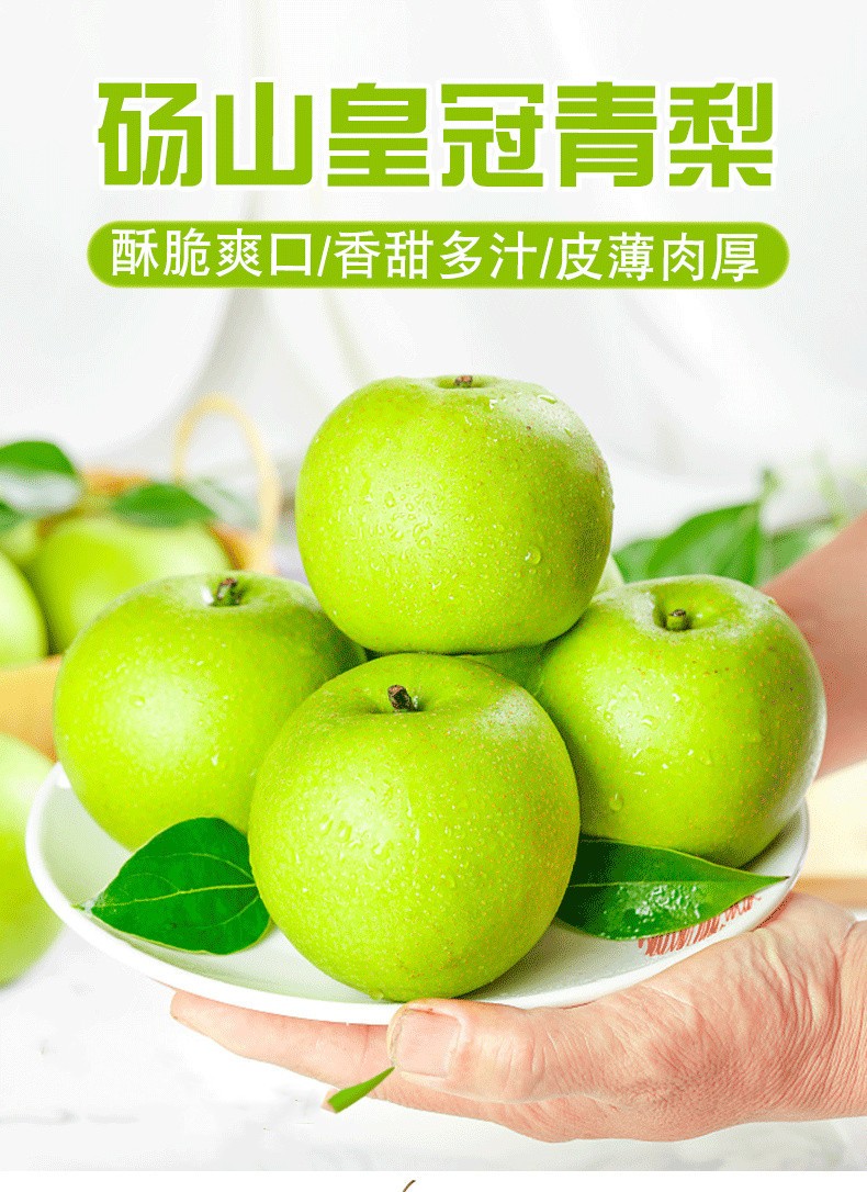 安徽青皇冠梨当季新鲜水果砀山香甜脆青梨整箱 10斤【图片 价格 品牌