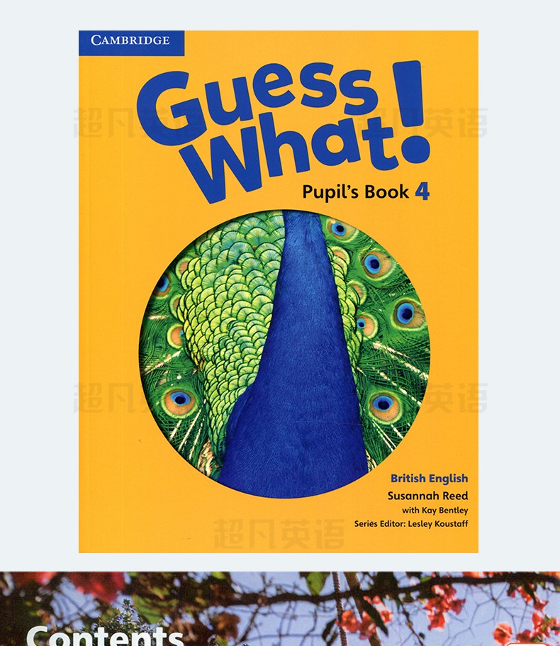 进口原版 剑桥出版社 剑桥少儿英语 guess what 英音版 cambridge