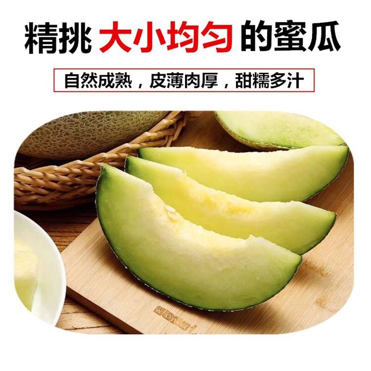 日本品种静冈网纹瓜玫珑蜜瓜新鲜水果甜糯多汁2个装