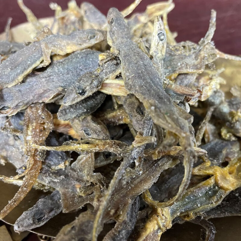 融草集中药材店铺壁虎实体中药房药材齐全药典标准中草药天龙壁虎10克