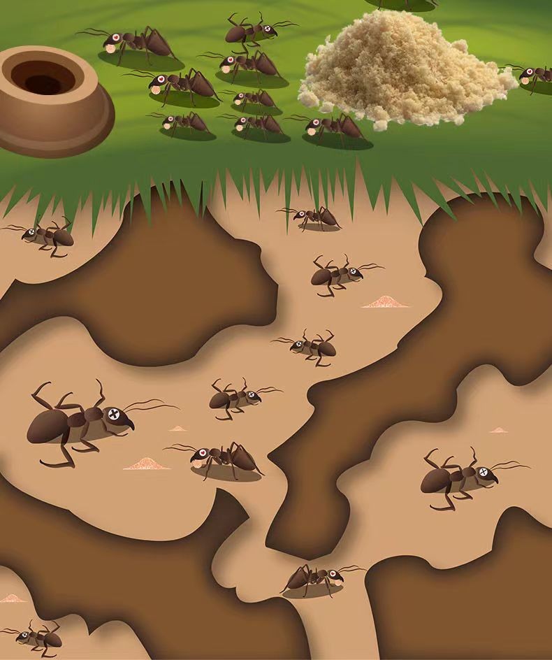 正品蚂蚁药灭蚂蚁除蚂蚁驱蚂蚁家用全窝端灭蚂蚁药一窝端家用室内厨房