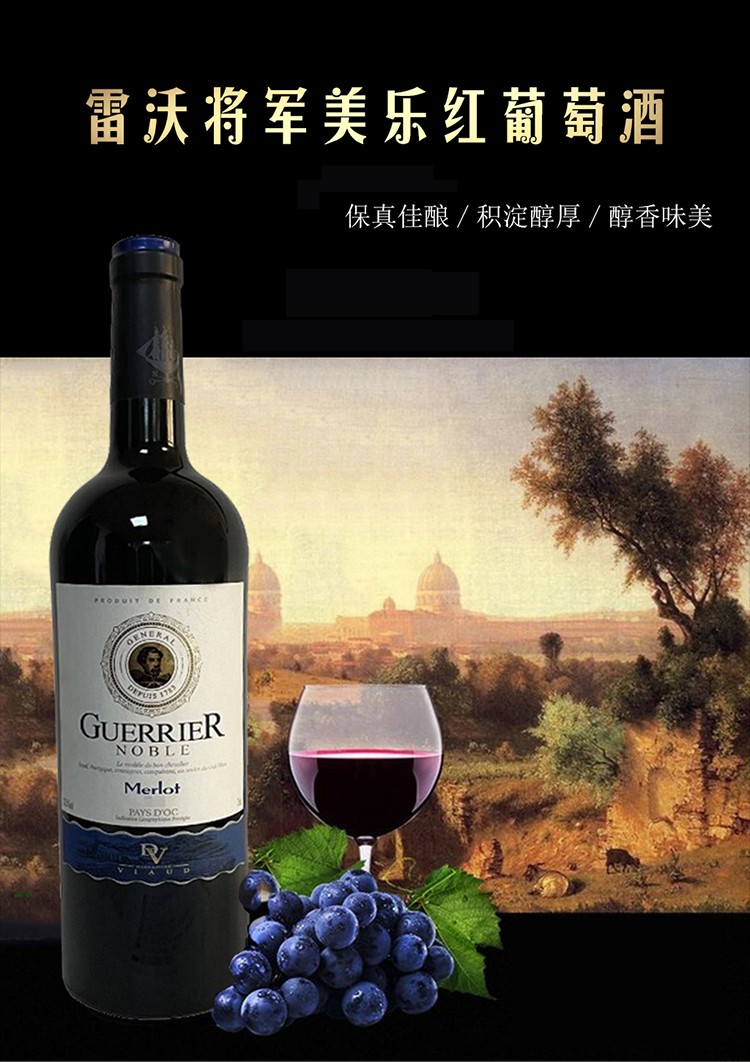 法国雷沃堡酒庄原瓶进口美乐红酒雷沃将军干红葡萄酒双支装750ml2