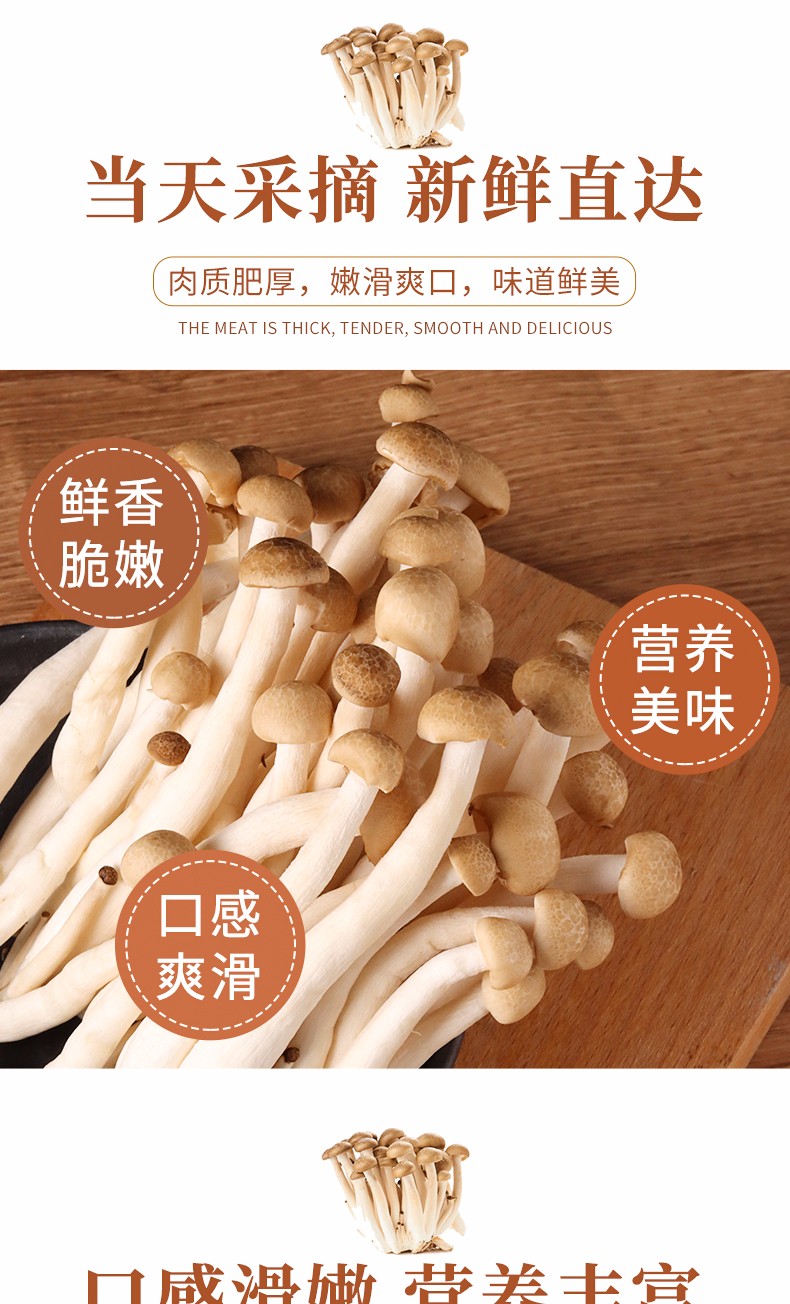 七河新鲜蟹味菇海鲜菇火锅配菜新鲜蘑菇食用菌煲汤食材蟹味菇白玉菇各