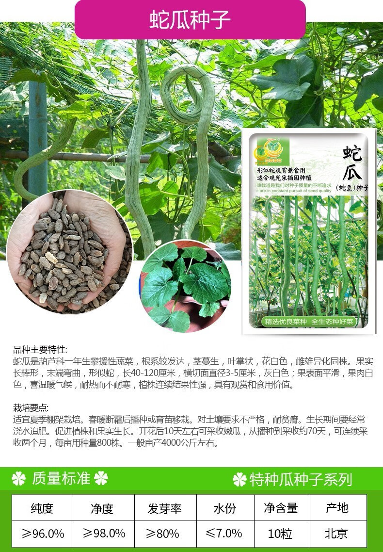 凤鸣雅世 蛇豆蛇瓜种子四季观赏种籽野菜盆栽蔬菜种孑阳蔬菜种子菜籽