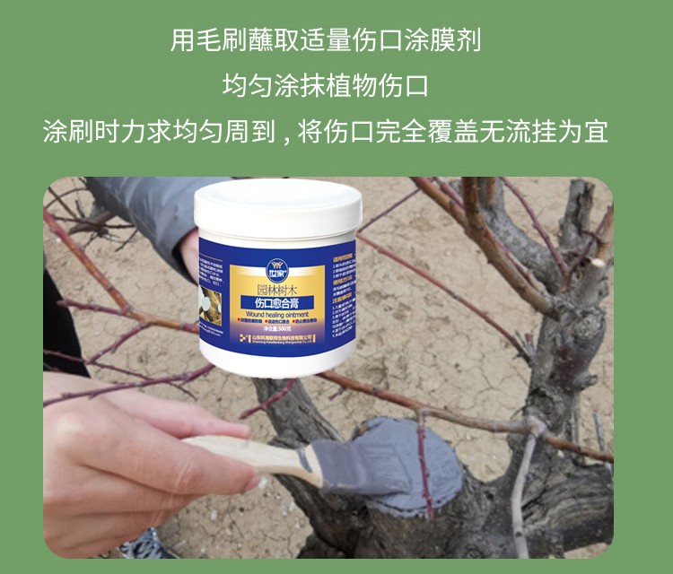 世家植物伤口愈合剂树木涂补剂人造树皮涂膜剂果树嫁接糊涂切口修复