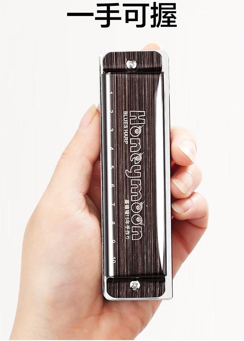 嘉德瑞布鲁斯口琴蓝调10孔c调男士十孔专业演奏级初学者入门儿童d调10