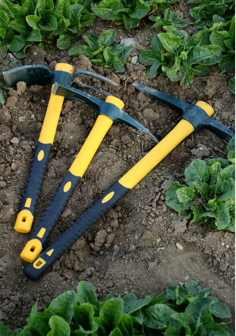 家用小锄头 两用种菜农具 挖笋除草工具户外小型小巧便携全钢加厚