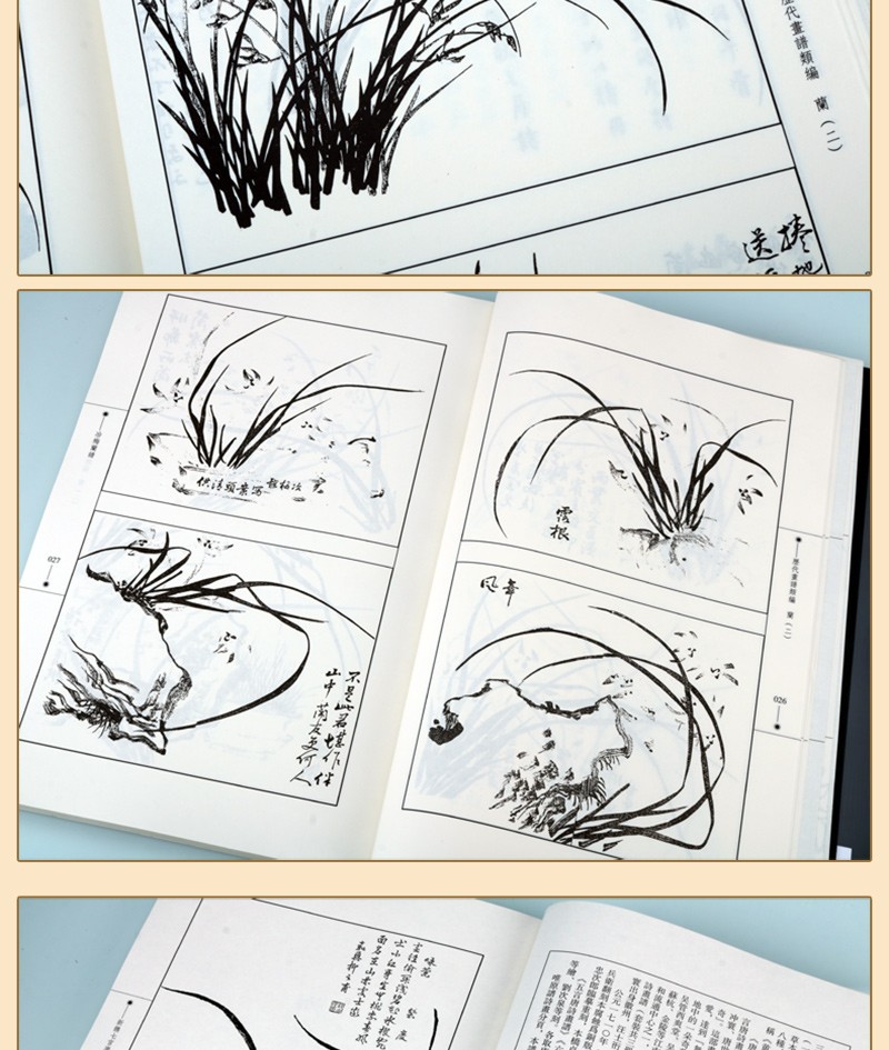 画谱类编 兰花绘画作品 中国画名画国画鉴赏图册集 绘画作品集书籍