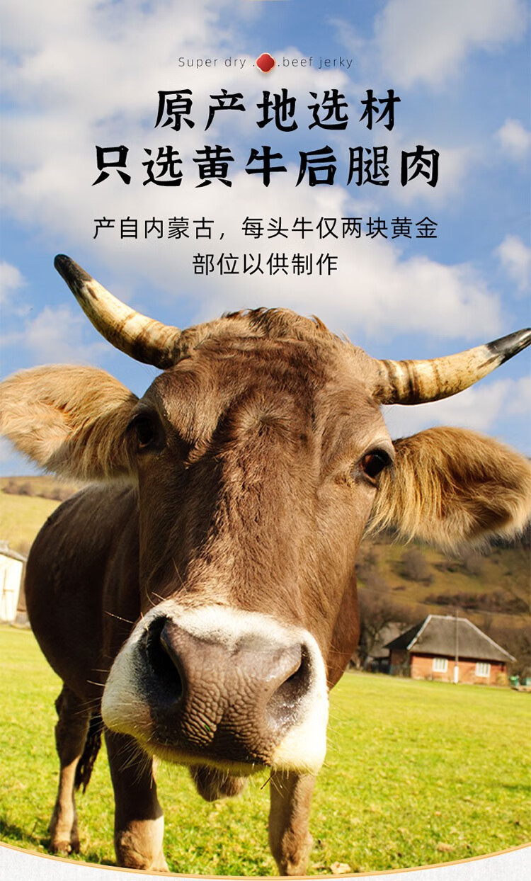 牛肉干内蒙古超干手撕风干牛肉干熟食麻辣肉干肉脯正宗小零食特产 7