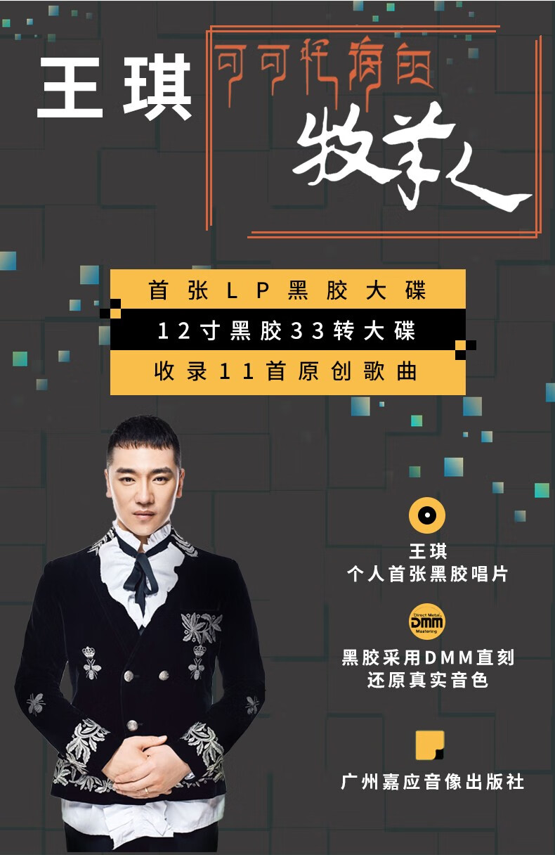 正版王琪歌曲专辑可可托海的牧羊人lp黑胶唱片12寸大碟