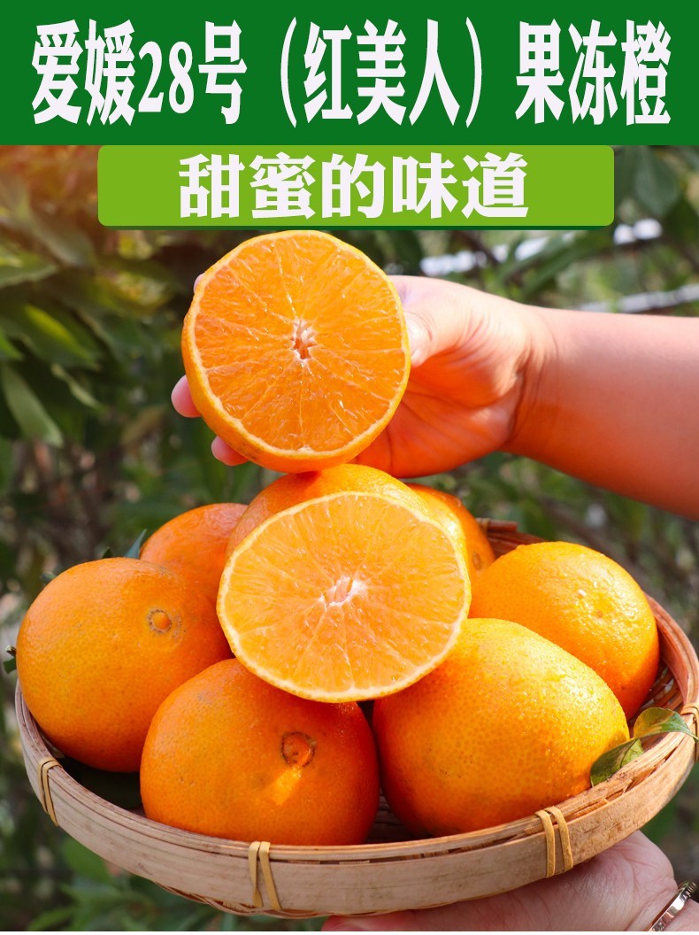 象山红美人柑橘爱媛28号果冻橙精品大果高端礼盒装新生鲜水果节日用品