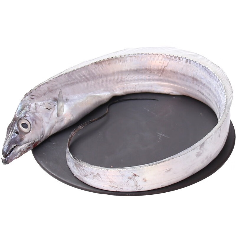 轻恋 新鲜带鱼 海捕长带鱼 3斤 青岛本地刀鱼 顺丰运输【图片 价格