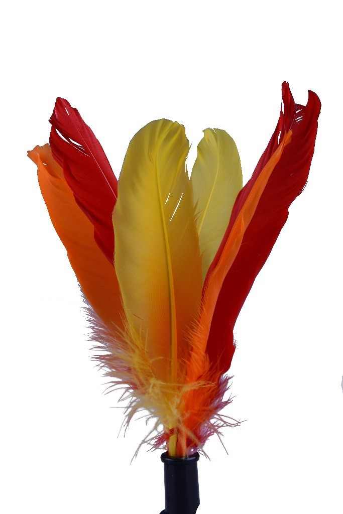 威玛斯手毽球花毽运动休闲毛毽耐踢儿童羽毛毽比赛用毽子健身