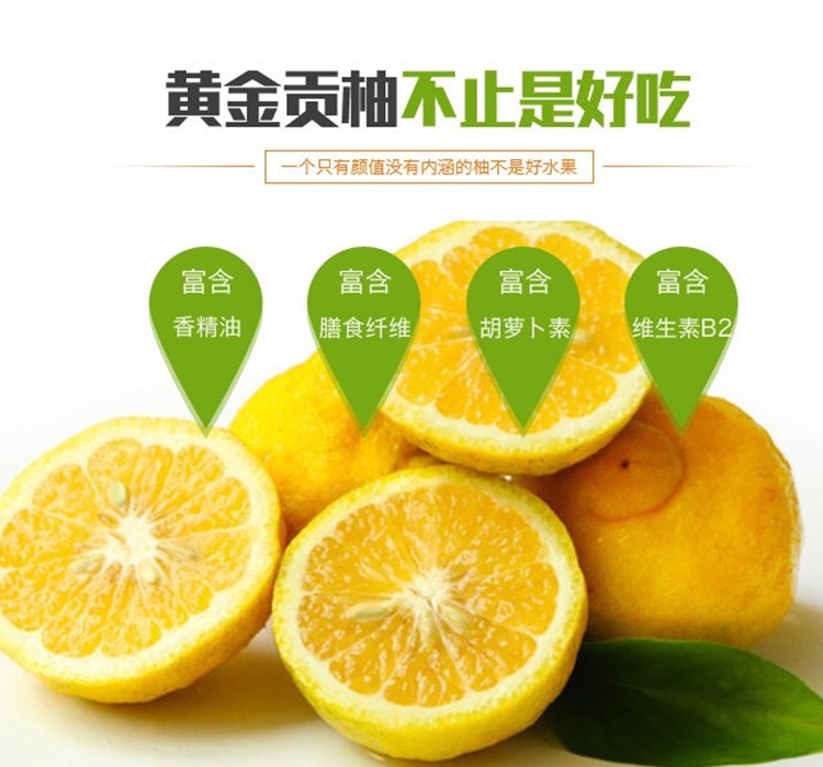精选好果510斤装正宗怀化洪江黄金贡柚春香柚子象山青新鲜甜湖南雪峰