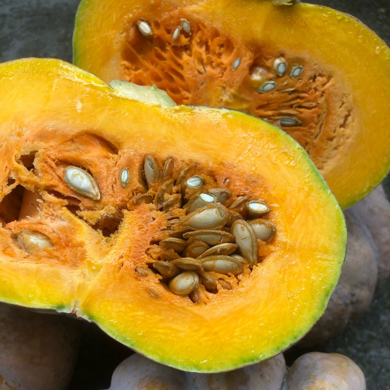 磨盘南瓜新鲜老品种老南瓜粉糯甜农家自种蔬菜新鲜南瓜万圣节雕刻 6-7