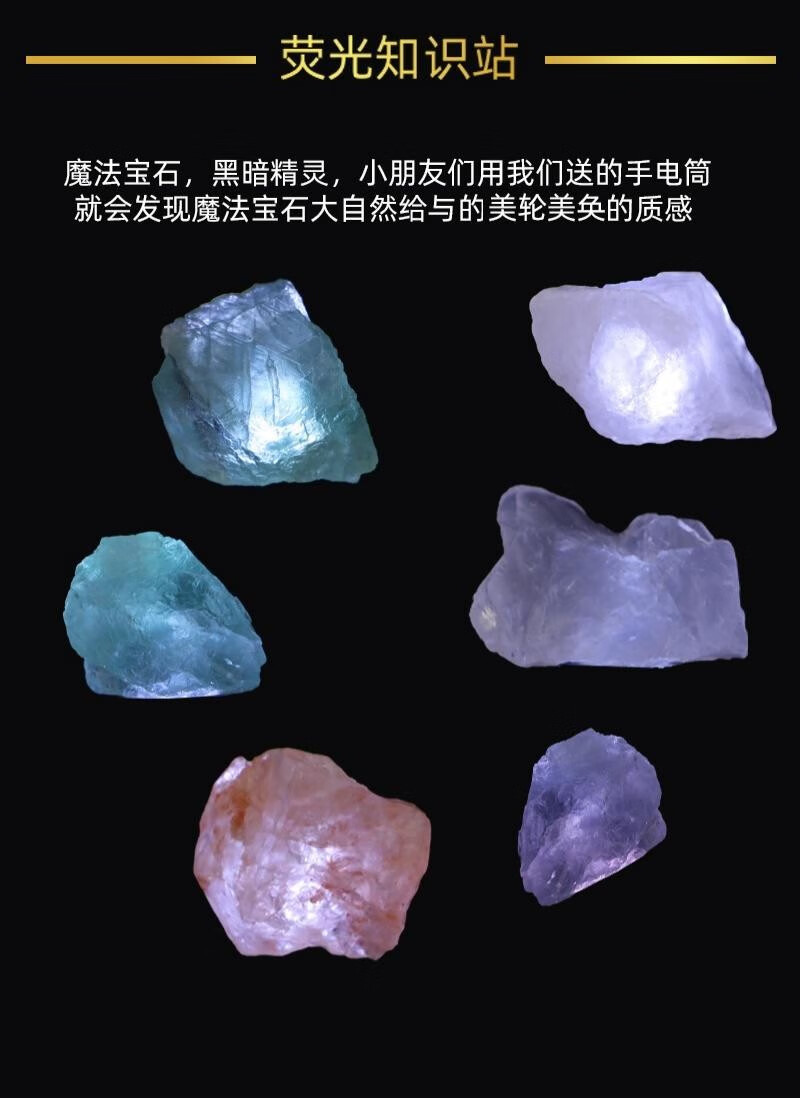 小泥童儿童考古挖掘玩具恐龙化石宝石兵马俑三星堆青铜古代钱币货币