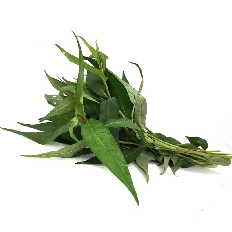 源外【顺丰】新鲜香柳叶 叻沙叶 拉沙叶拉莎叶 鱼生配料火锅配料 250g