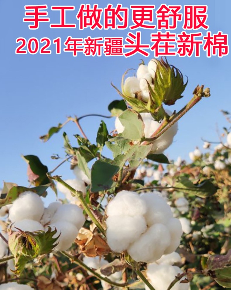 多忆绵眠新疆棉花被芯一级优质长绒棉纯棉花被子冬被加厚保暖棉絮床垫