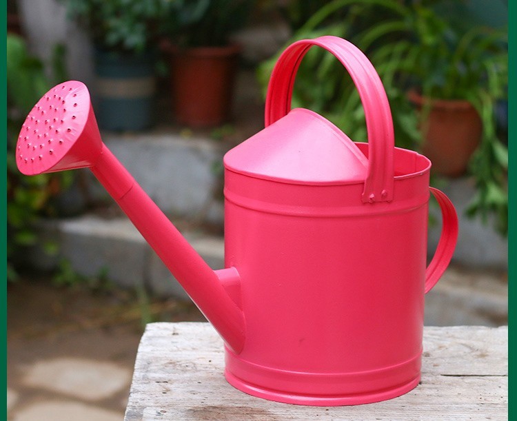 洒水壶不锈铁皮家用浇菜浇花水壶淋花喷壶浇水壶大容量洒水桶5l