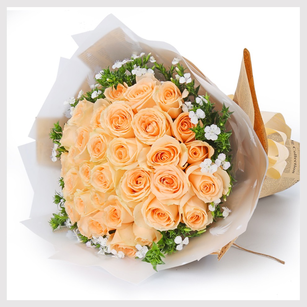 冉子花坊 鲜花速递33朵红玫瑰香槟玫瑰花束求婚表白送女友生日礼物