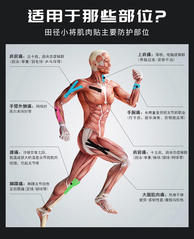 田径小将肌能贴肌肉贴防肌肉拉伤弹性肌内拉伤效贴布肌能贴护膝护踝