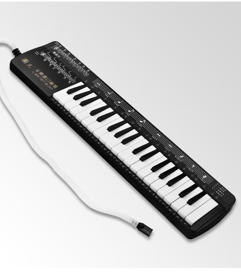 国光37键全乐理37键口风琴儿童学生初学者入门专业演奏级