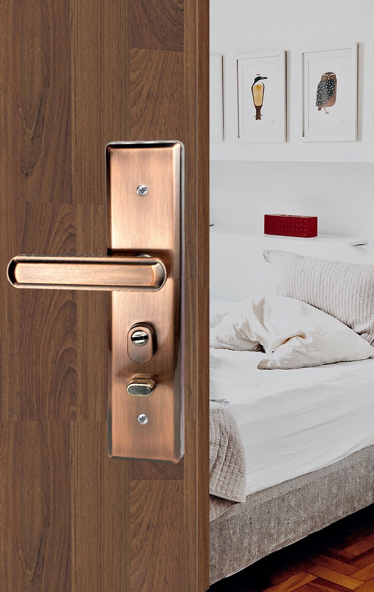 防盗门把手不锈钢加厚防盗门面板多功能可调拉手红古铜色防撬 (不含锁