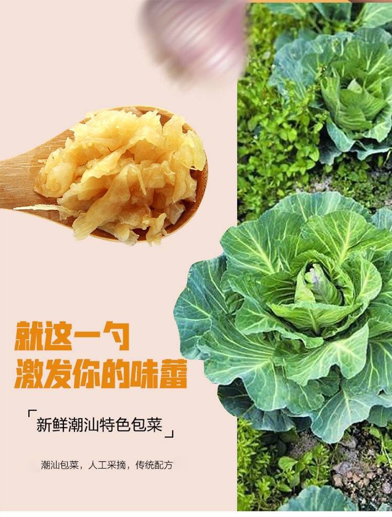 涵元宝塔地都冬菜500g潮汕特产粥配菜调料冬菜腌制杂咸菜冬菜500g5瓶