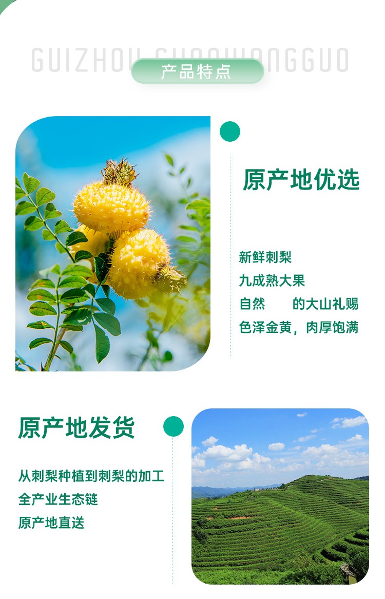 盘州馆山王果刺梨原汁贵州特产刺梨汁原浆饮品纯汁山果王双有机刺梨