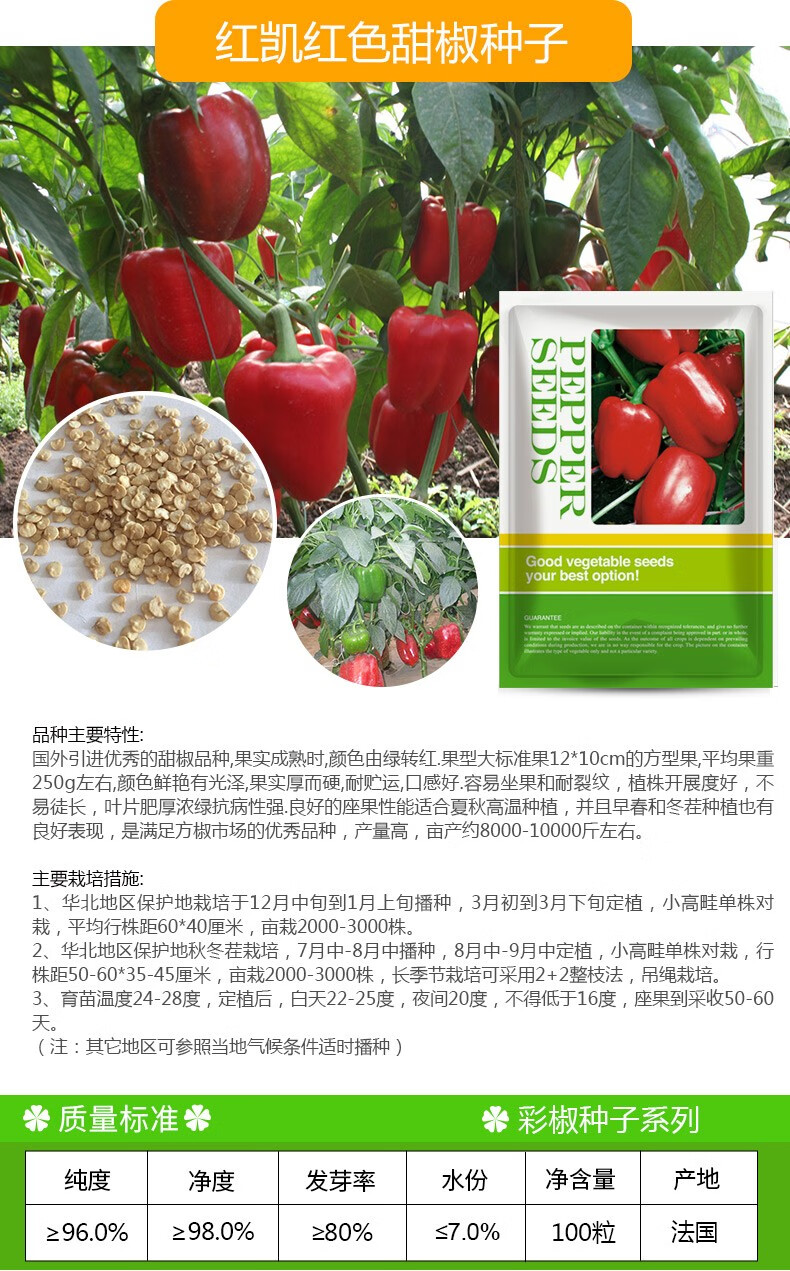 凤鸣雅世 彩椒种子甜椒菜椒青椒辣椒种籽方形灯笼椒四季阳台盆栽籽种