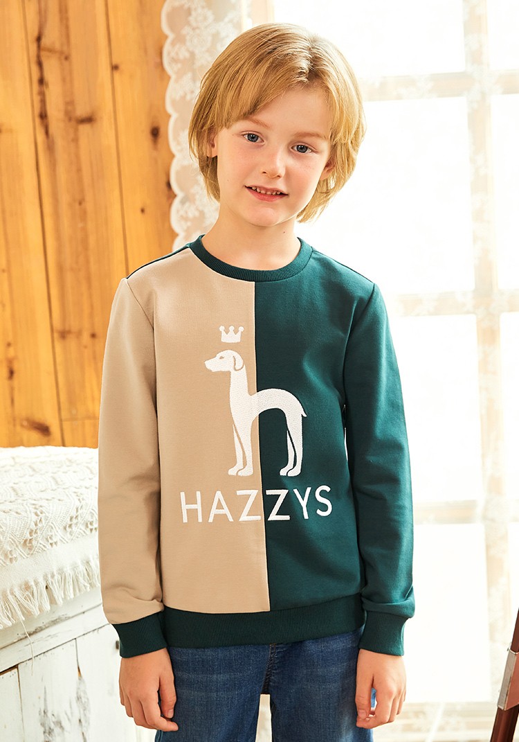 哈吉斯hazzys童装男童卫衣儿童套头卫衣秋新品拼色卫衣中大童时尚上衣