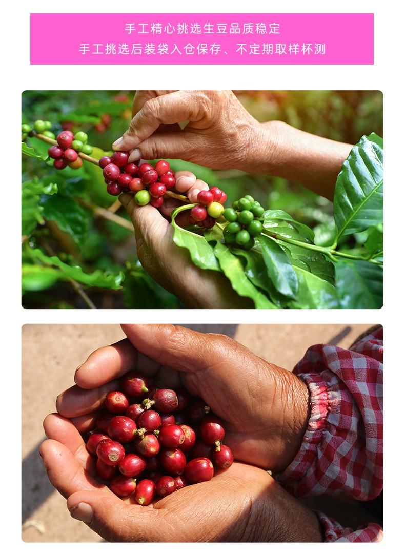 咖语精品咖啡豆埃塞俄比亚花魁单品手冲美式黑咖啡新鲜烘焙200g 埃塞