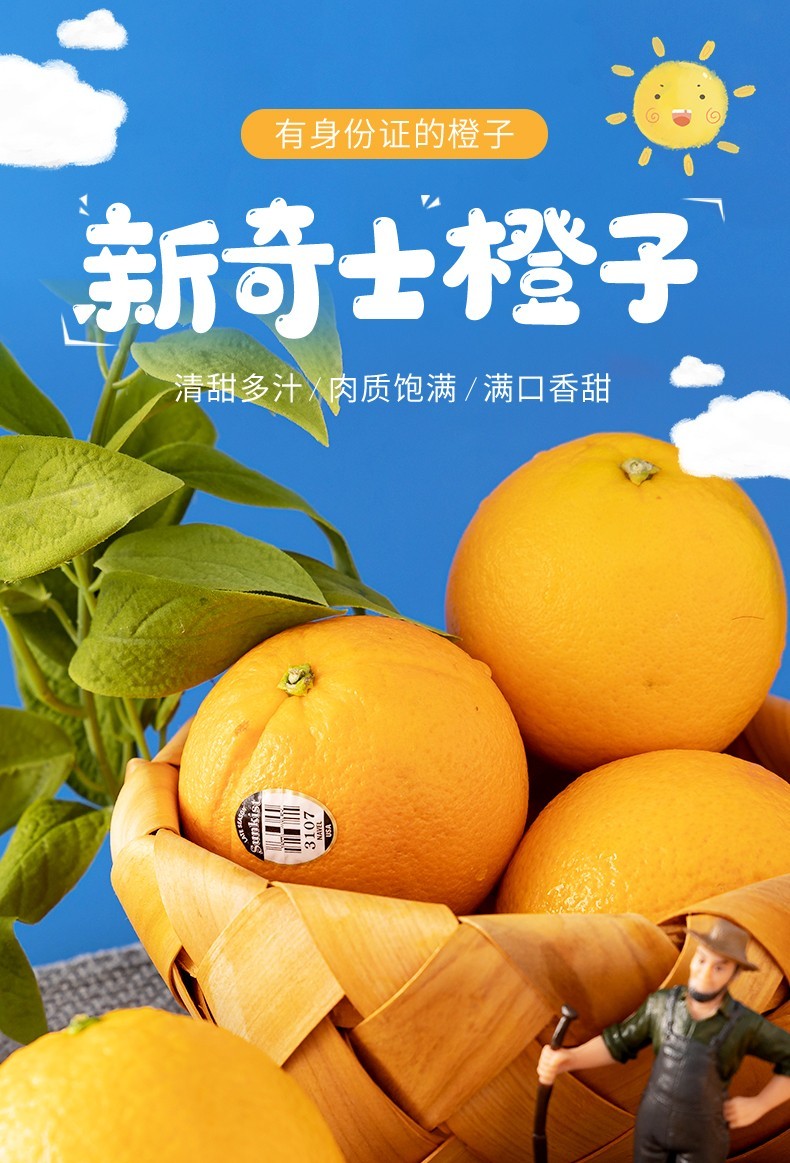美国新奇士3107黑标橙子 sunkist新鲜孕妇生鲜水果整箱 3107黑标橙7斤