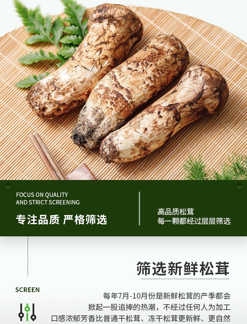 西藏林芝野新鲜松茸菌菇出口级礼盒装礼盒装未开伞品质 林芝松茸9