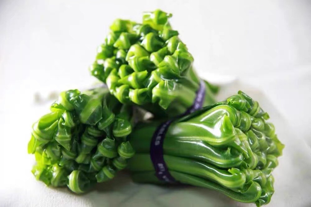 新鲜台湾山苏菜鸟巢蕨菜西餐菜酒店特色菜台湾山苏叶炒食做汤1000g