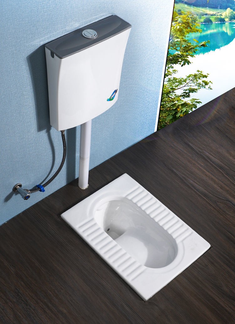直冲不防臭蹲便器前排水 a款曲面水箱【图片 价格 品牌 报价-京东