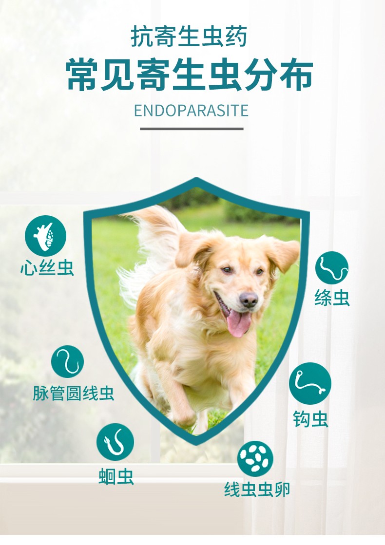 海正动保(hisun) 海乐旺狗狗驱虫药体内外口服幼犬打虫药宠物狗耳螨