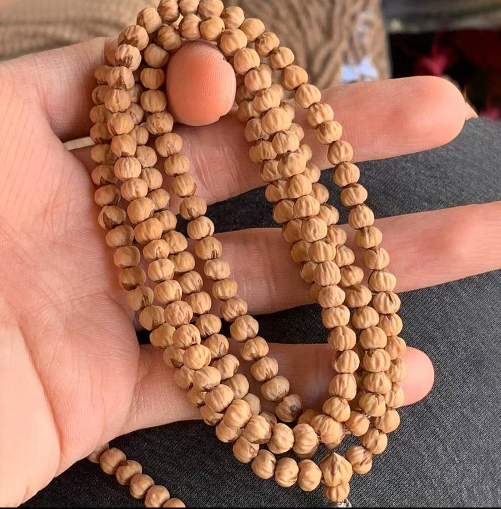 木醉百香籽菩提子手串男文玩佛珠念珠手链项链天然保真热振寺红崖口原